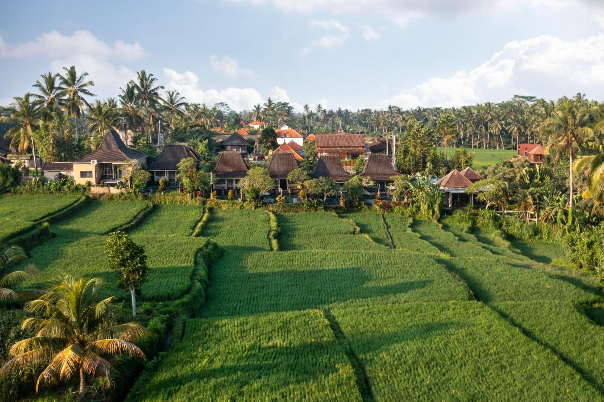 Wooden Ganeca Villas By Pramana Villas Убуд Экстерьер фото